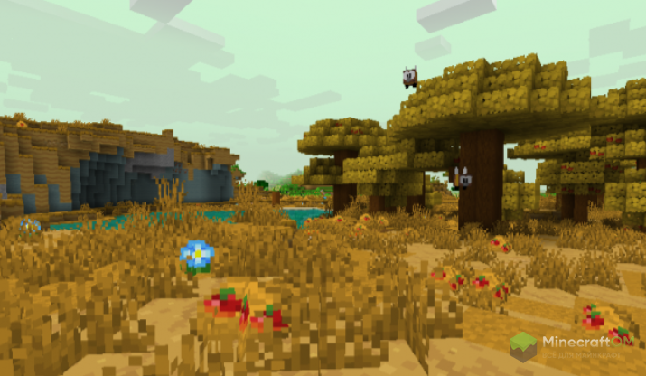 Осенний лес