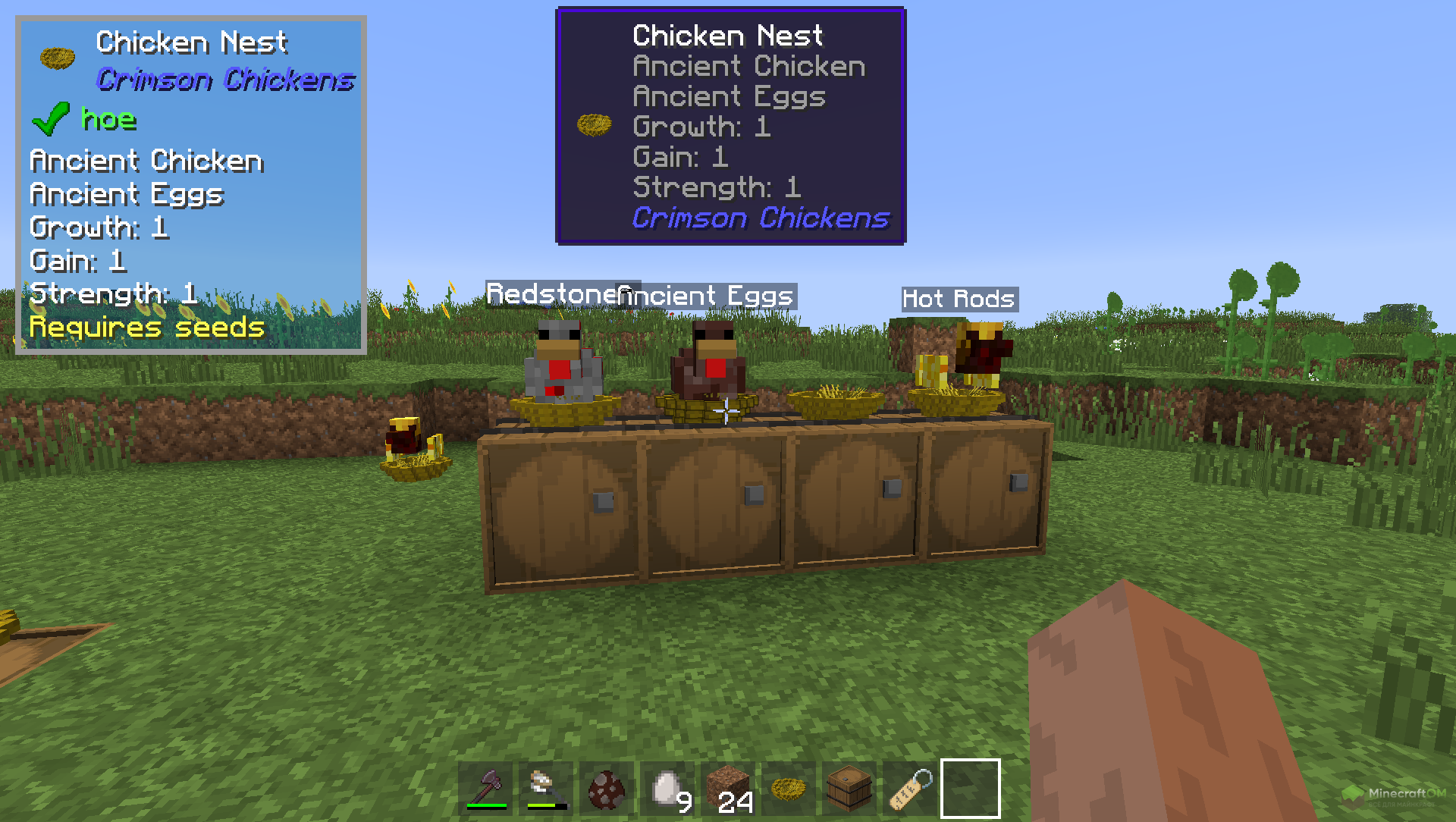 Куриные гнезда