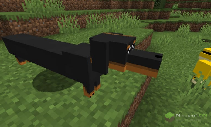 Собака такса