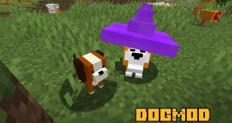 Мод на собак для Майнкрафт 1.16.5 (DogMod)