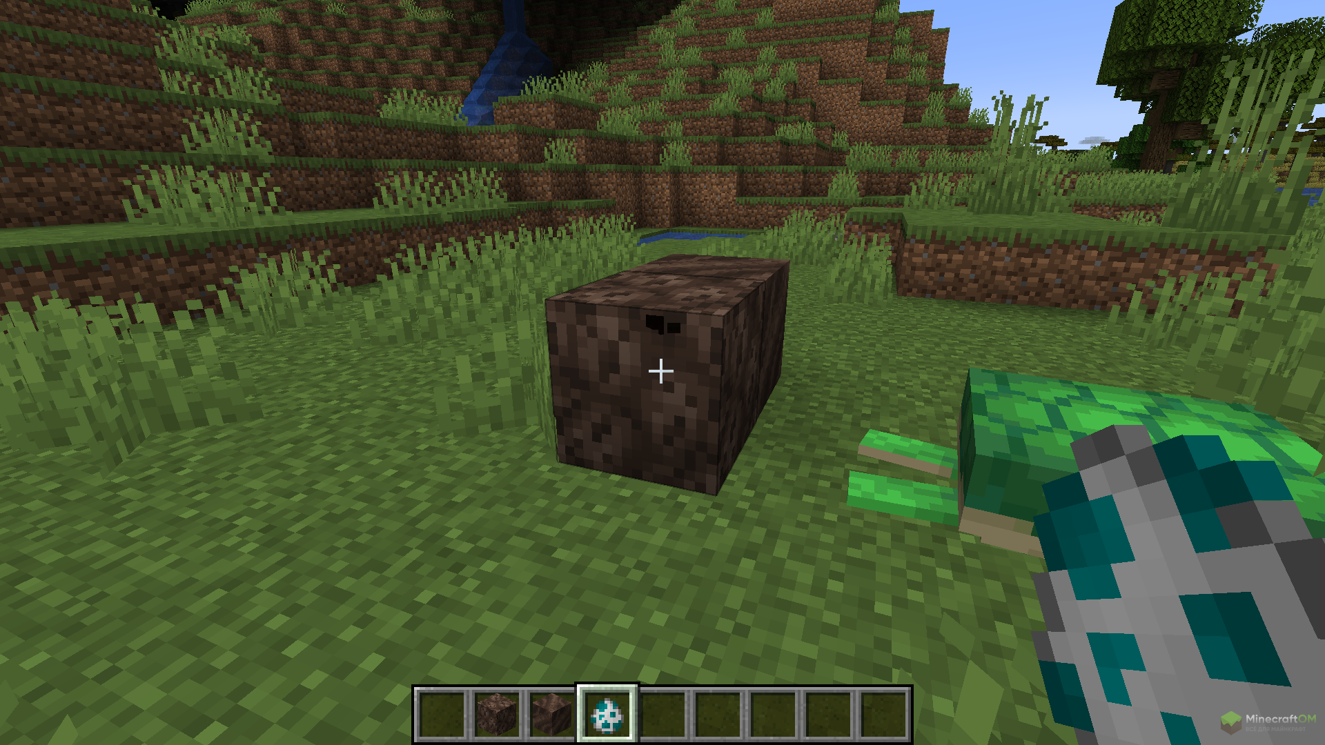 Черепашка задыхается в песке душ