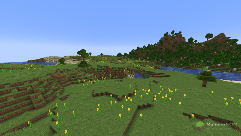 Равнина подсолнухов