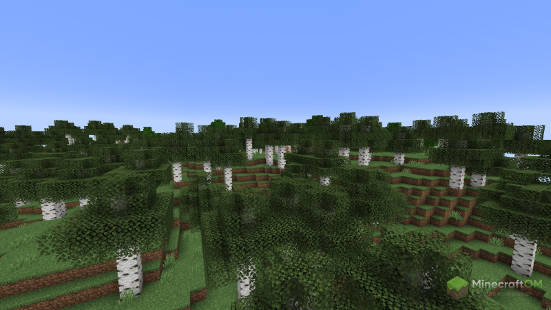 Берёзовый лес