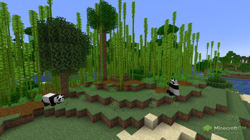 Бамбуковые джунгли