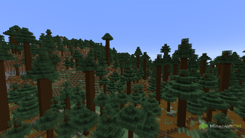 Крупномерная тайга