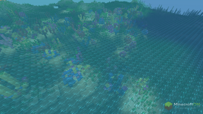 Коралловый риф в тёплом океане