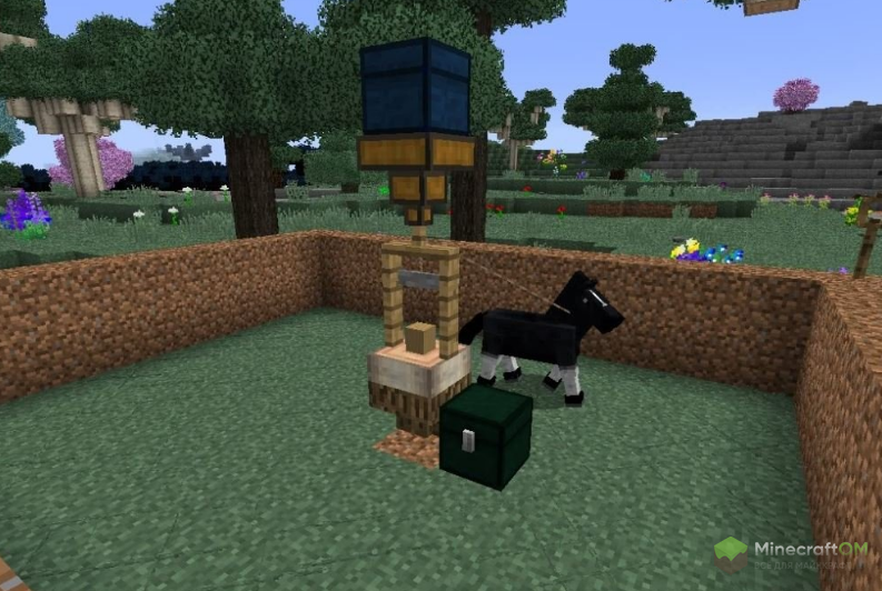 Ферма на конях