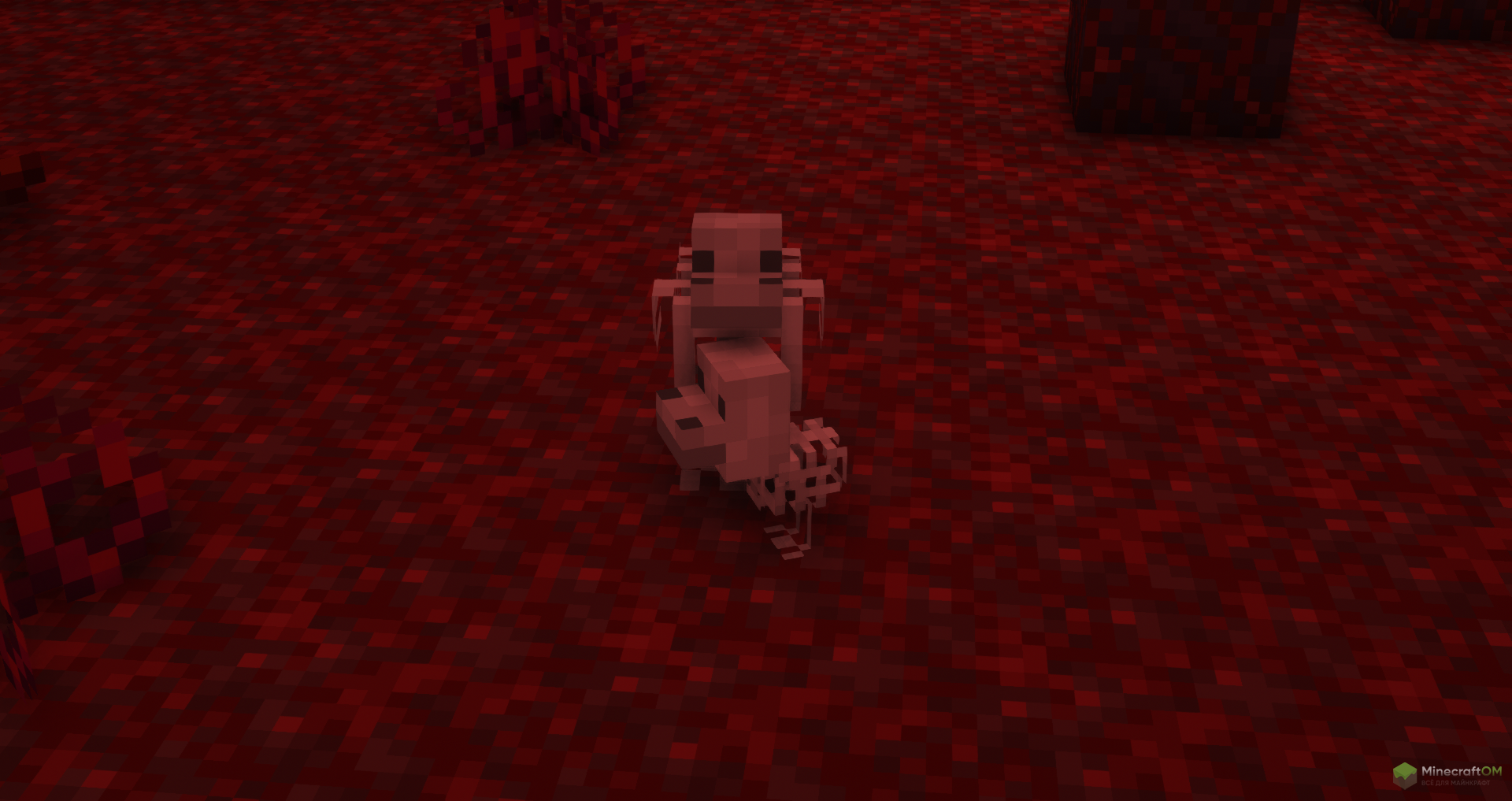 Костяные курицы