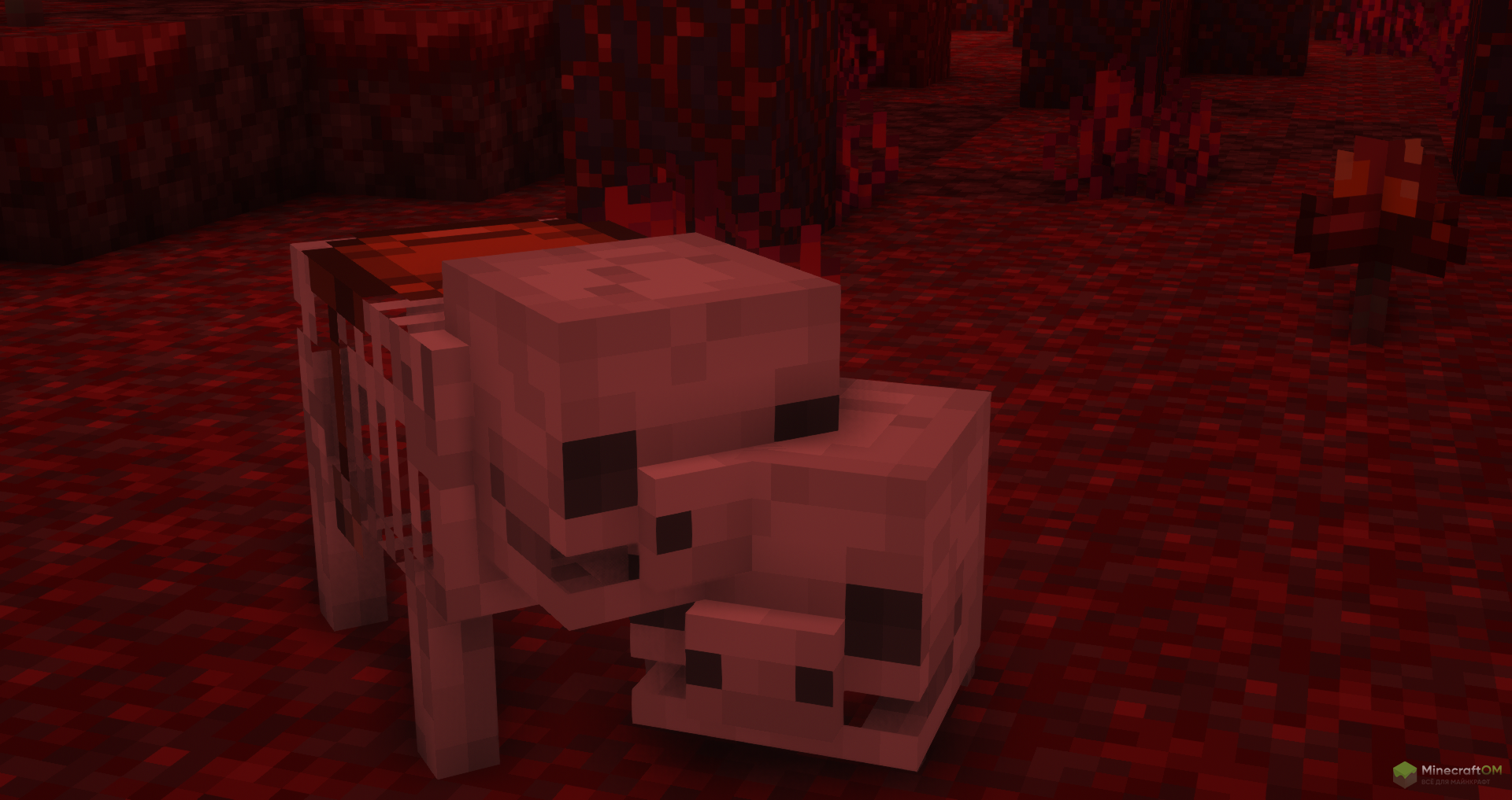 Костяные свиньи