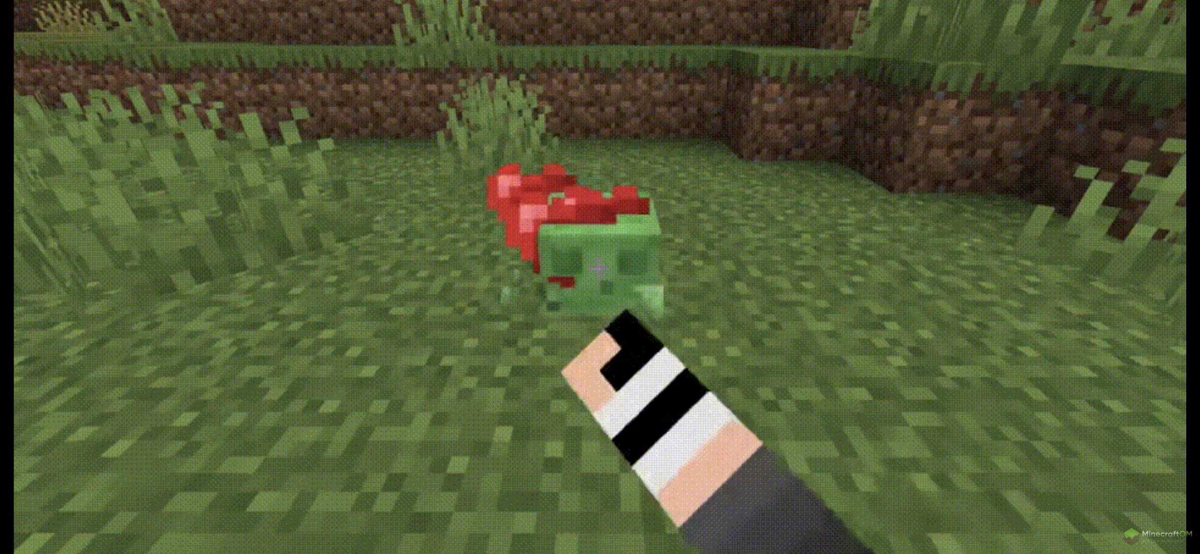 Приручение слизня