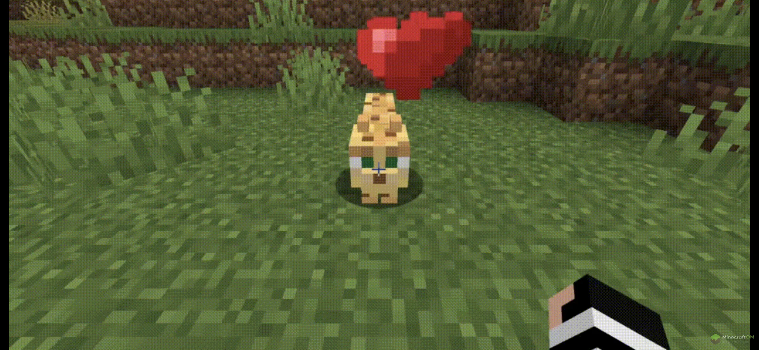 Приручение оцелота