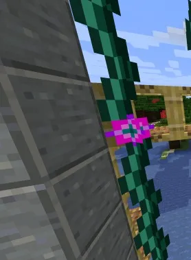 Выращивание эндерперлов