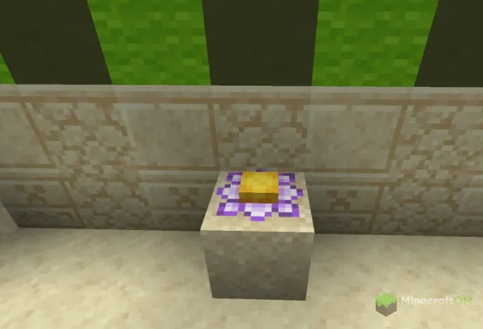 Цветочек кактуса