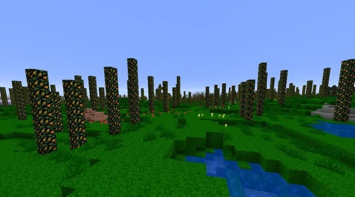 Лес без листьев