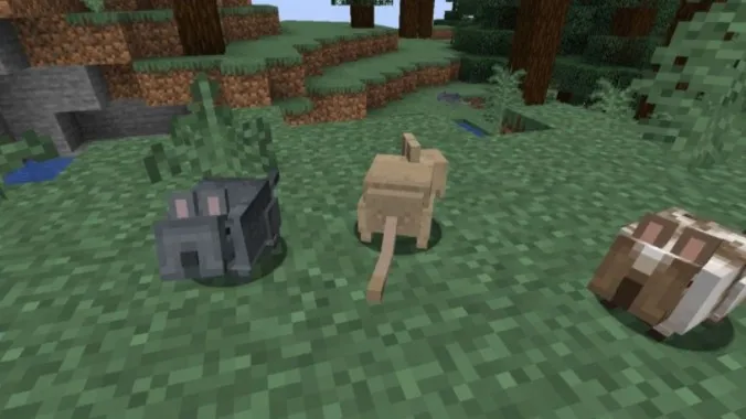 Серая и белокурая дегу