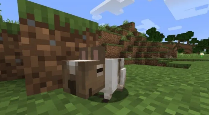 Дегу коричневого цвета