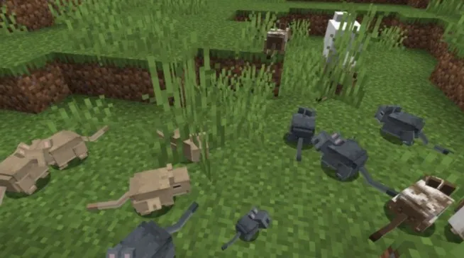 Маленькие дегу