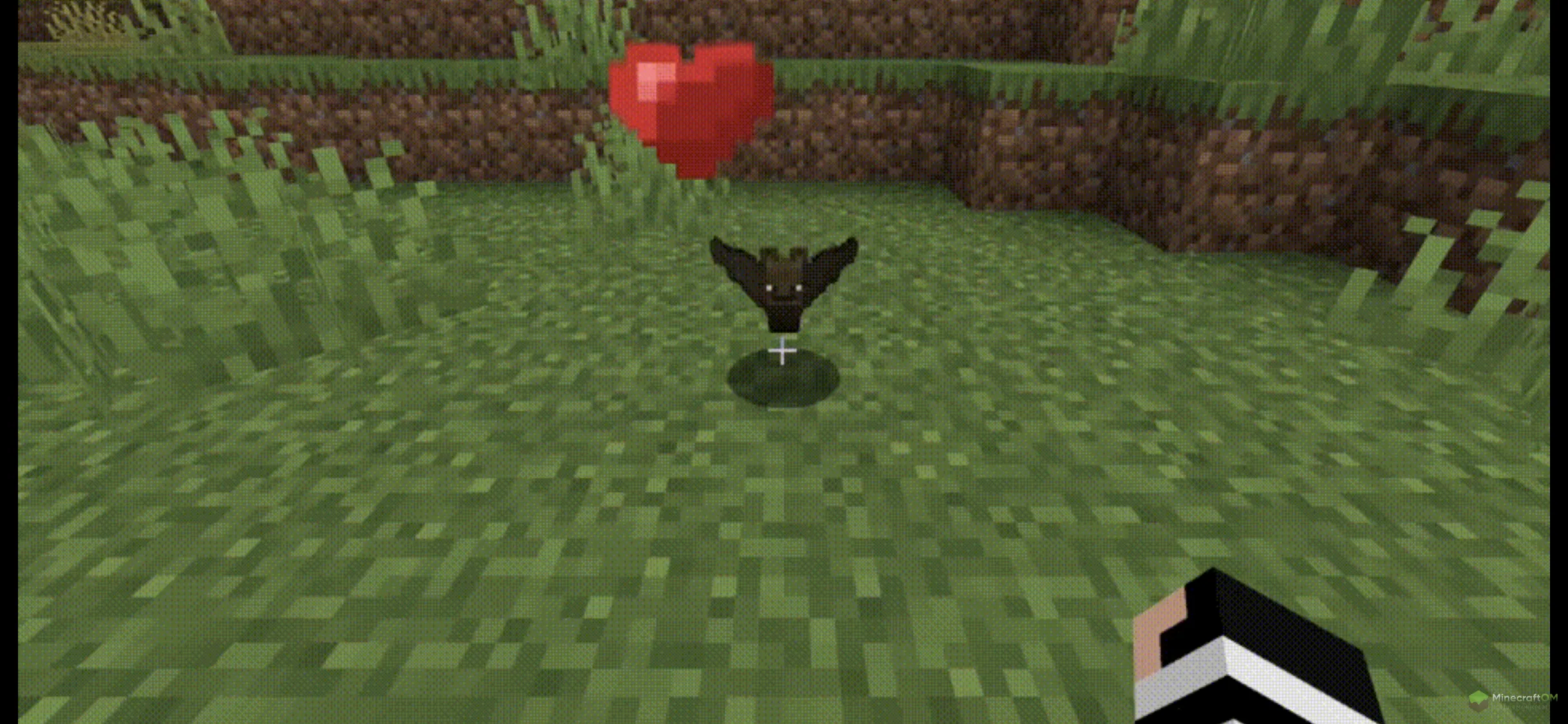 Приручение летучей мыши