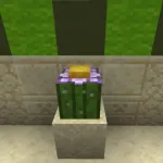 Кактус с цветочком