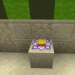 Цветочек кактуса