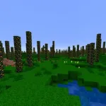 Лес без листьев