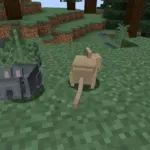 Серая и белокурая дегу