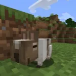 Дегу коричневого цвета