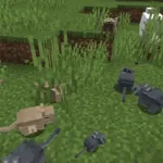 Маленькие дегу