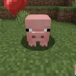 Приручение свиньи