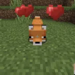 Приручение лисы с помощью поглаживания