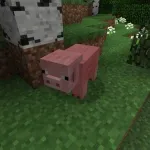 Свинка с модификатором