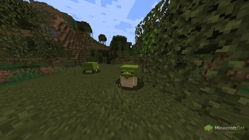 Жаба-сундук