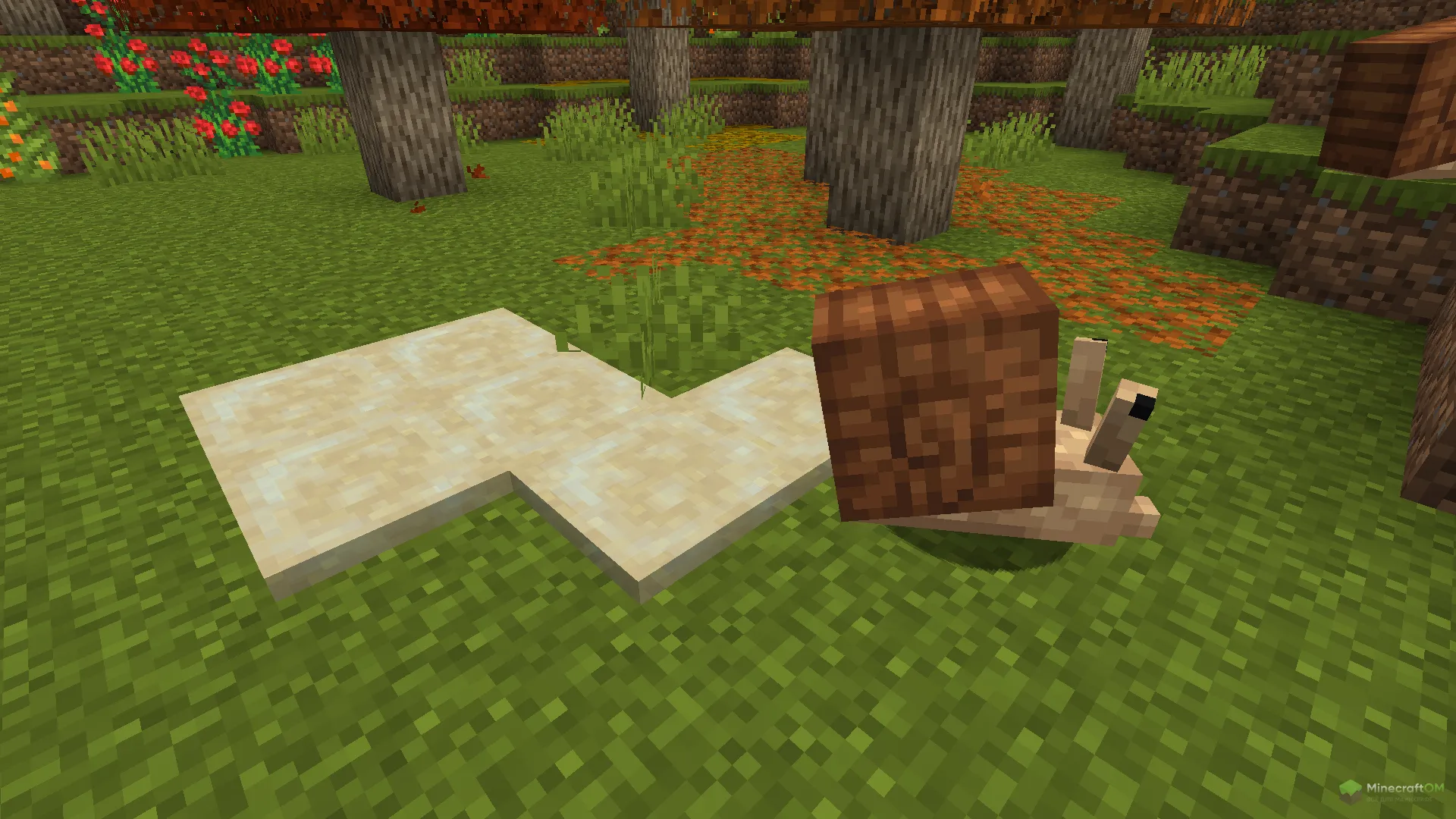 След улитки из слизи