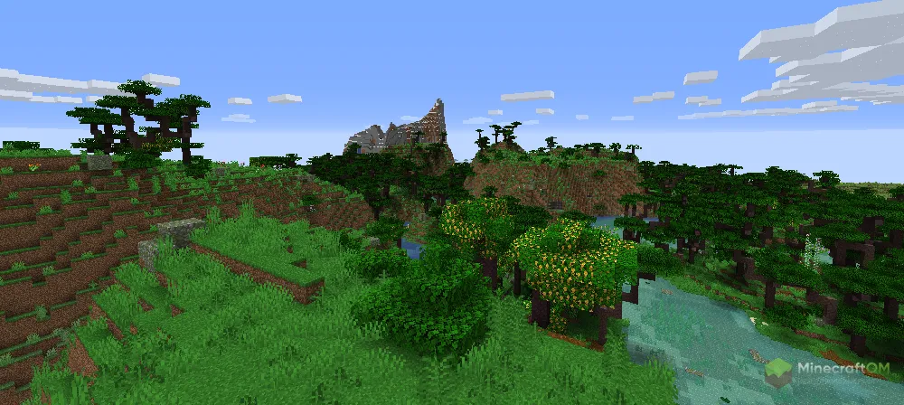 Влажный тропический лес (разновидность: плато)