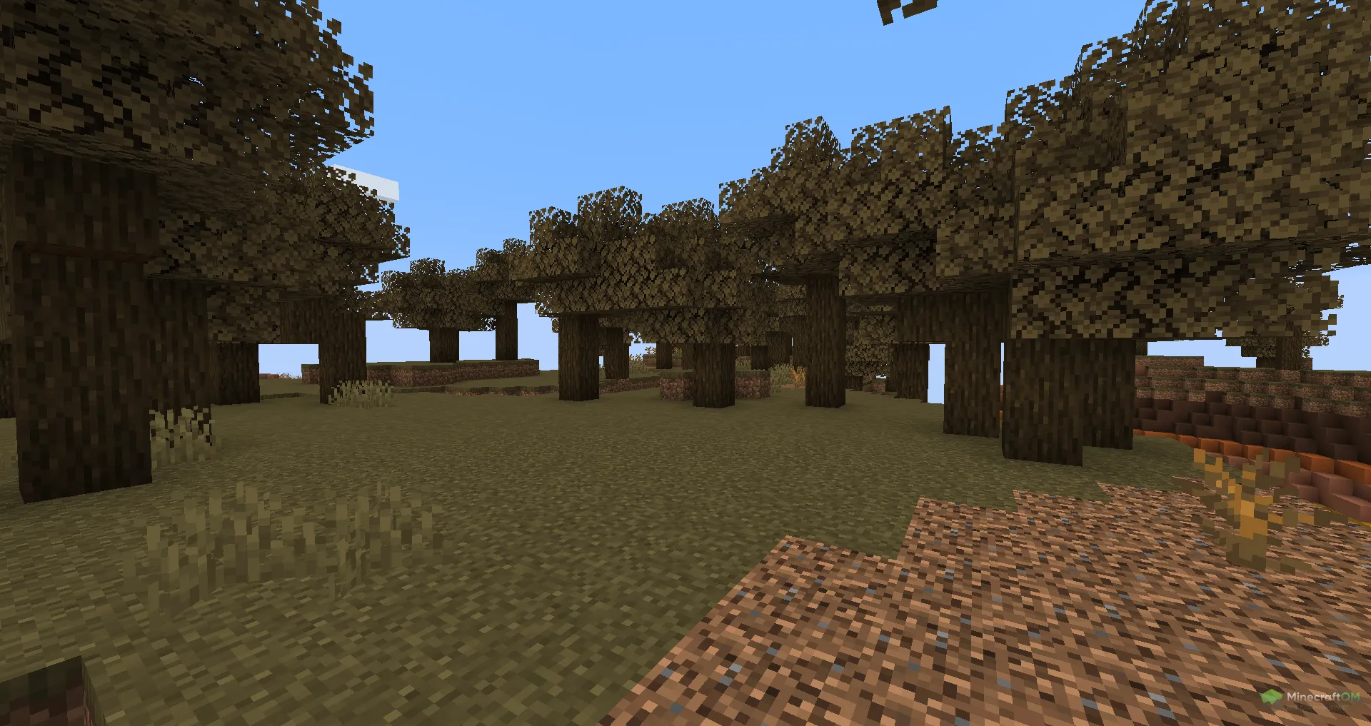 Тёмные дубки