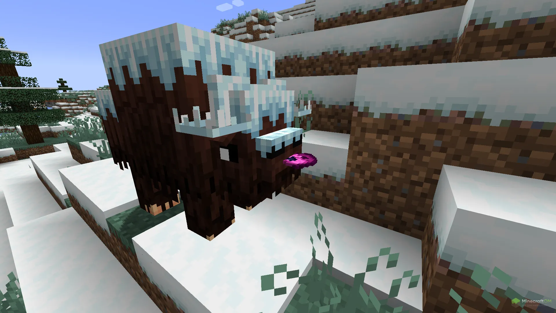 Боггорд с горным бутоном