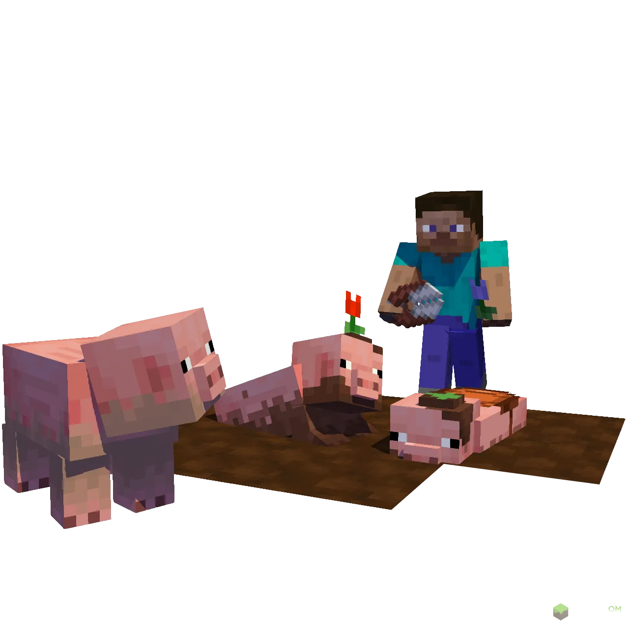 Грязная свинья