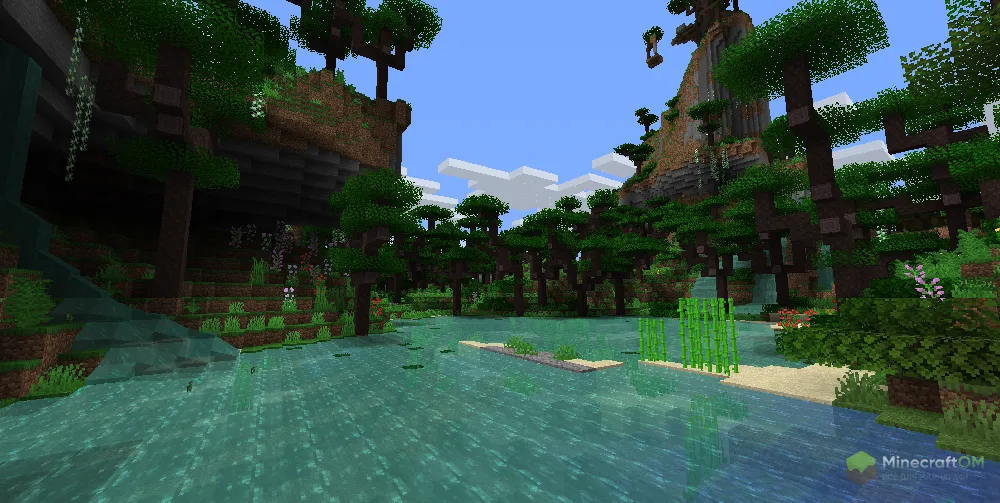 Влажный тропический лес