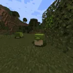 Жаба-сундук