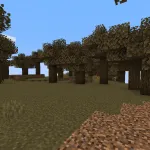 Тёмные дубки