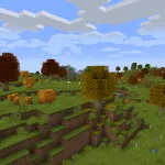 Тыквенное поле