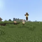 Эффект Шалкеровской стрелы