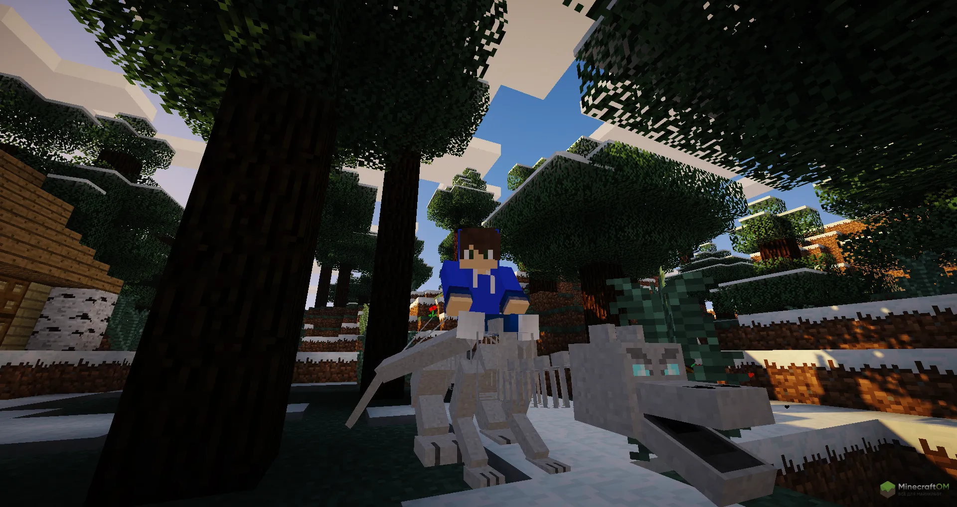 Оседланный НПС-дракон