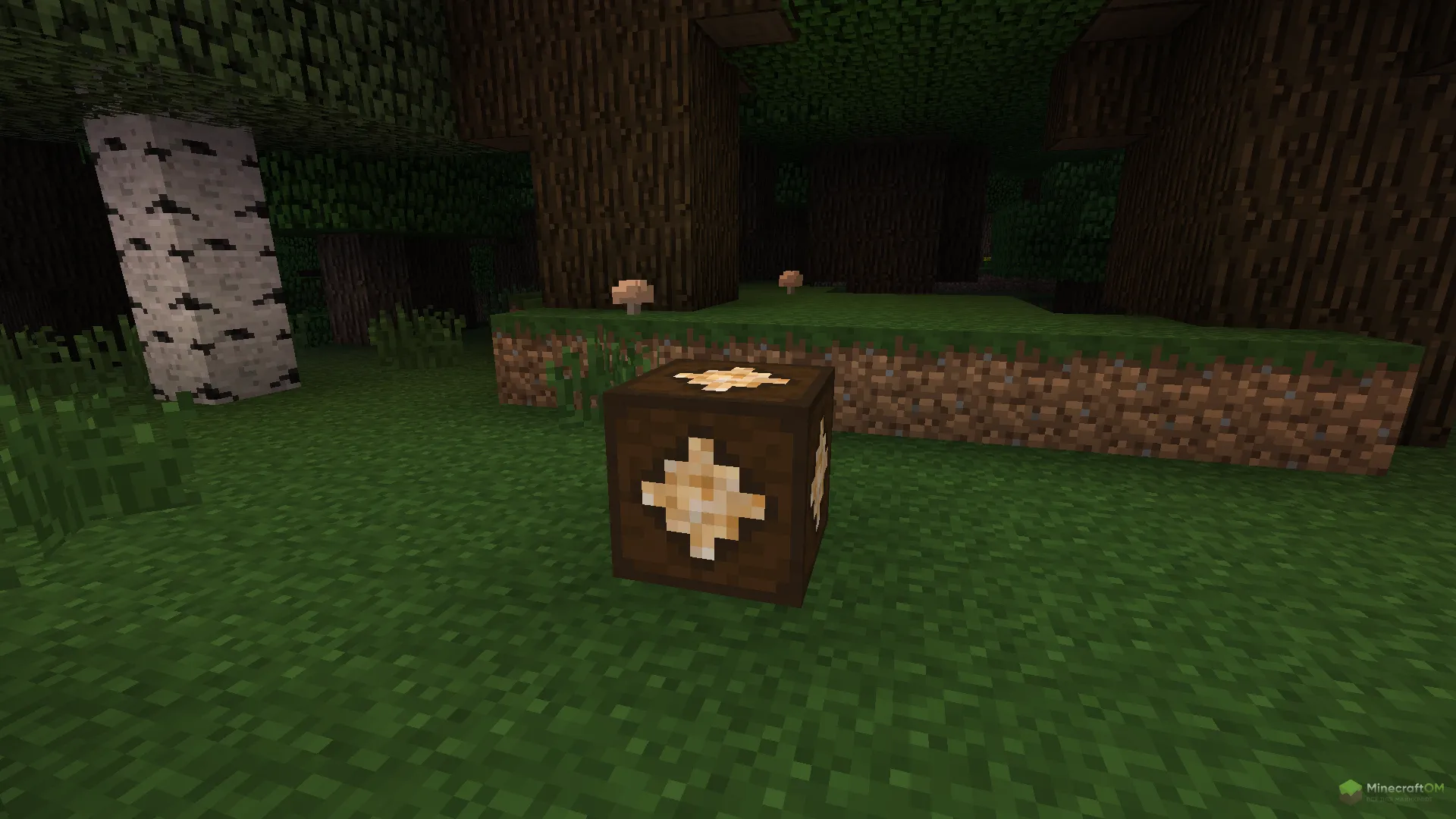 Деревянная лампа из тёмного дуба