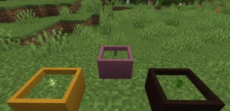 Процесс выращивания