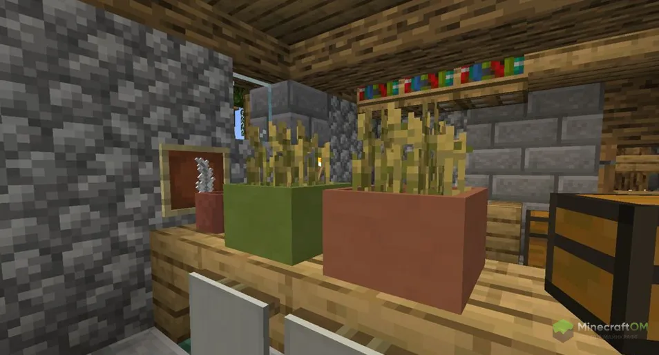 Пшеница в горшках