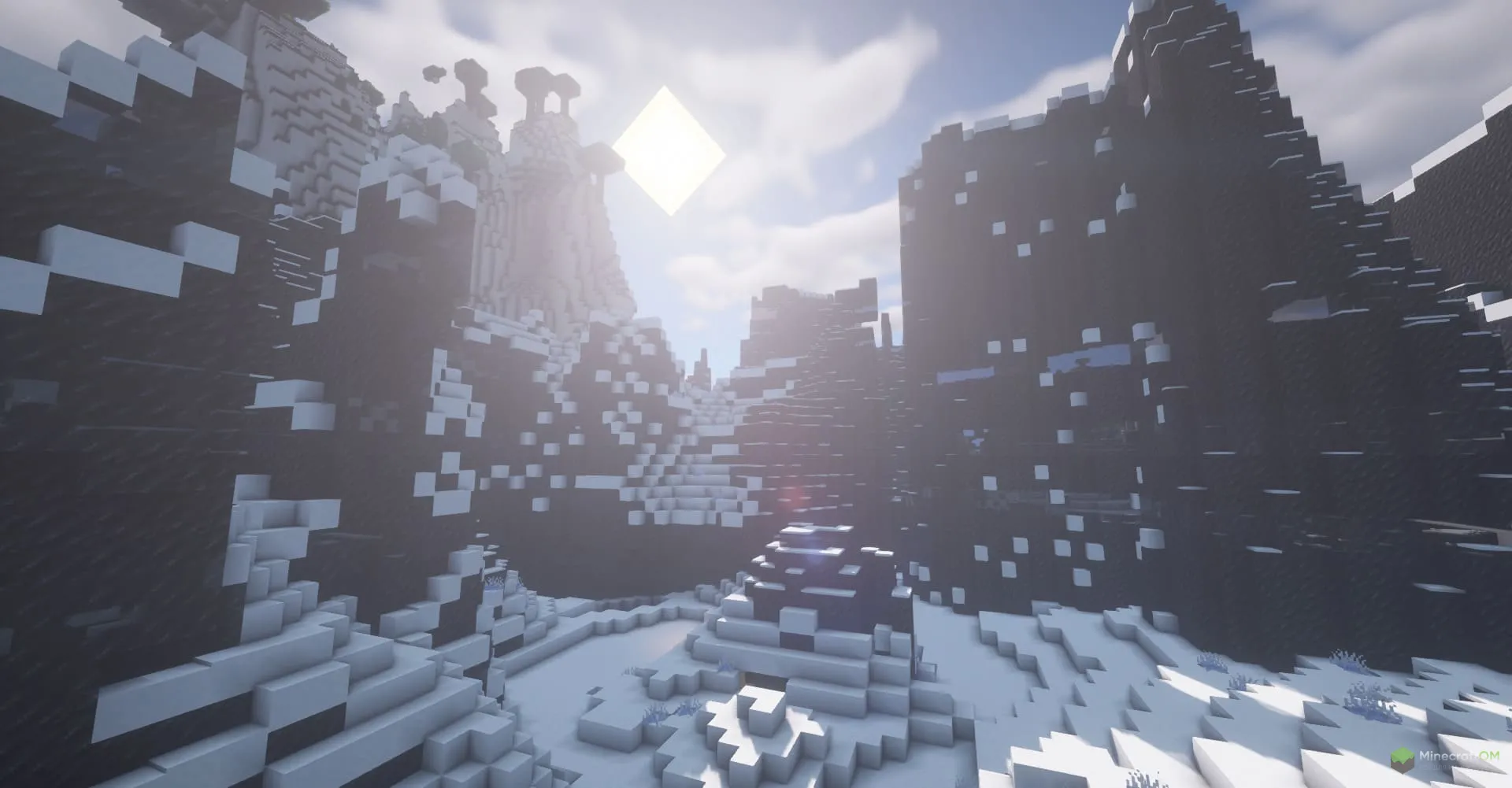 Обновлённый зимний биом