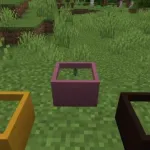 Процесс выращивания