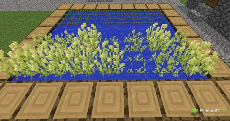 Водные культуры