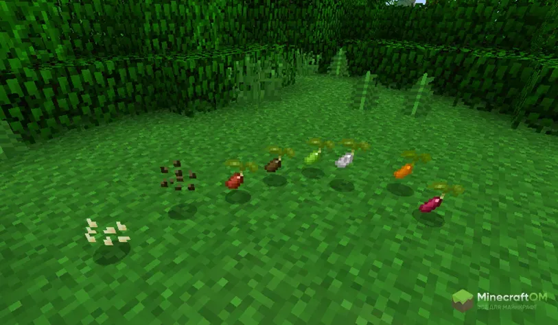 Уникальные саженцы